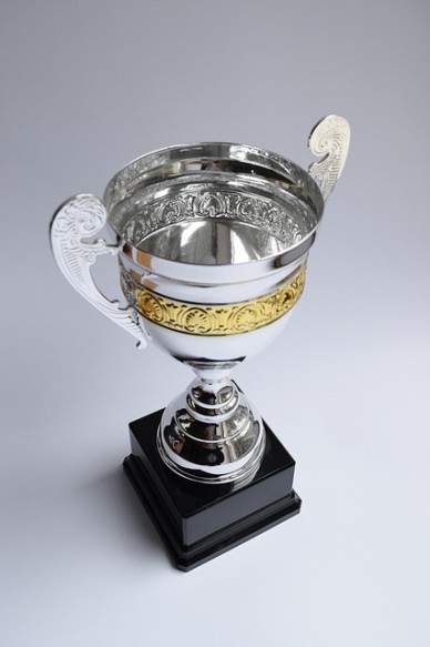 trophy-2754165_640