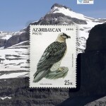solo Portada