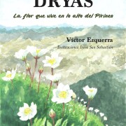 solo portada DRYAS