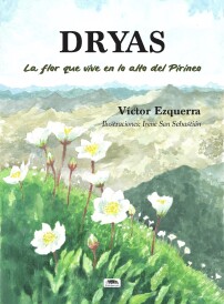 solo portada DRYAS
